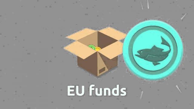 Embedded thumbnail for European regional policy has too many objectives